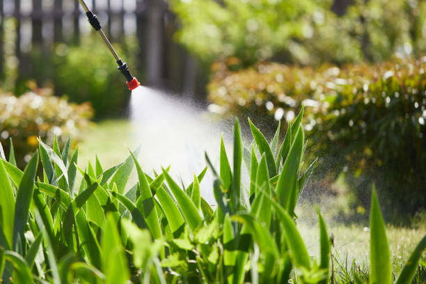 Tamper-Resistant Bait Stations for Rodents in Van Wert
