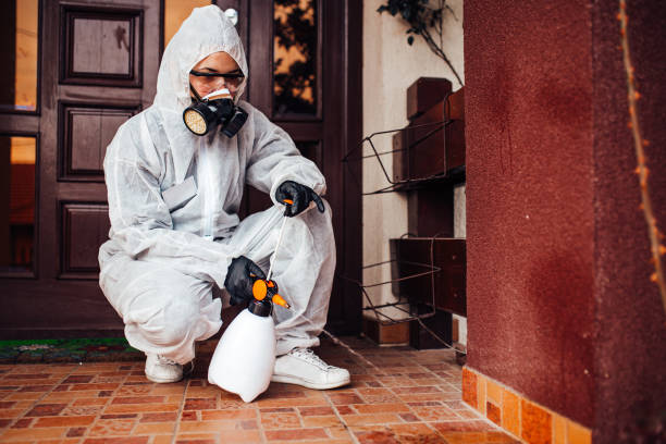 Attic and Crawl Space Rodent Treatment in Van Wert