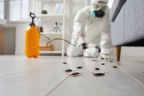 Commercial Rodent Management in Van Wert